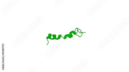 360º 3D rendering of a biological molecule. Structure, Sulfatide Binding Properties, and Inhibition of Platelet Aggregation by a Disabled-2 Protein-derived Peptide.