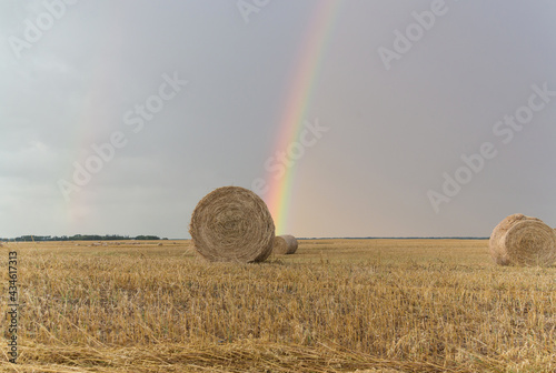 Photography hale bay in a hay field with a rainbow in the sky