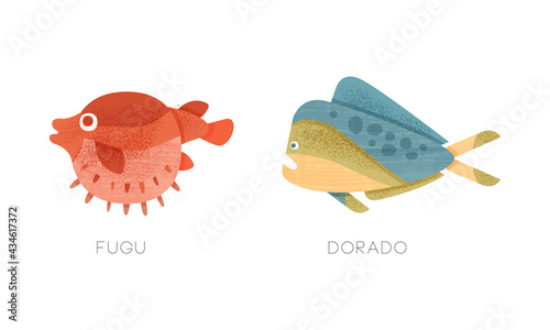 Sea Ocean Fishes Set, Fugu, Dorado Fish Flat Vector Illustration