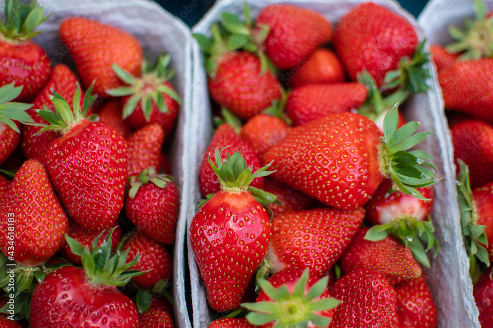 Saftig rote Erdbeeren im Sommer Saftig rote Erdbeeren im Sommer