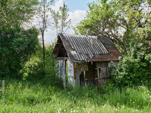 Old, abandoned barn in the woods. © Vasyl