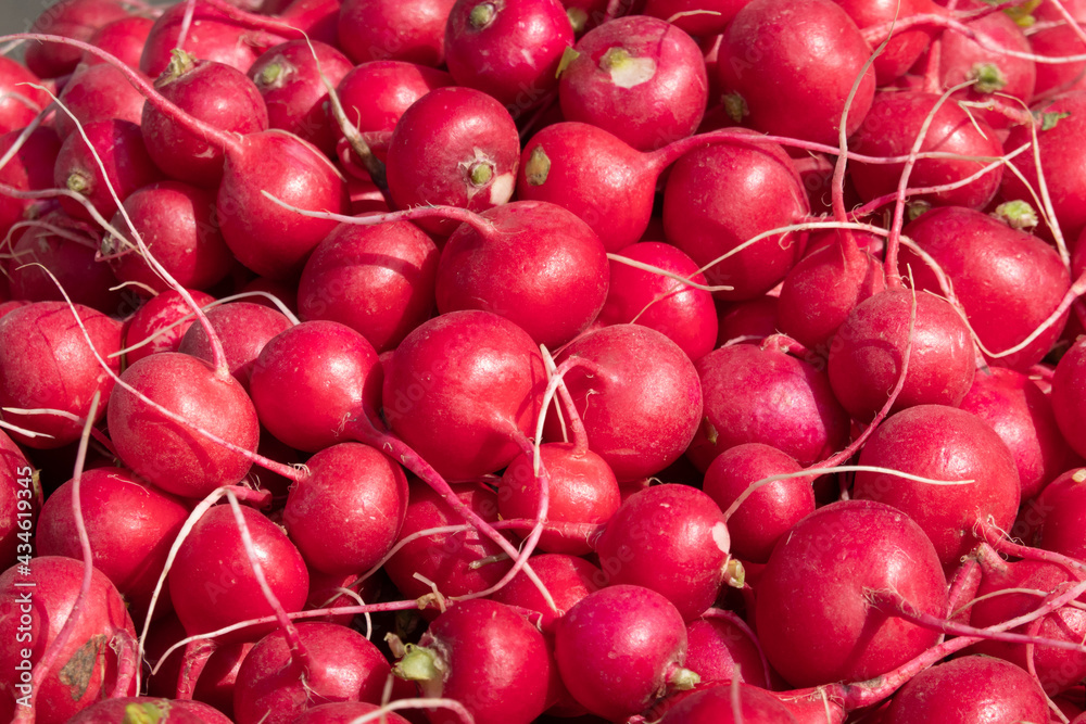 Young red radish roots on the market counter. Background. Texture. Young red radish roots on the market counter. Background. Texture.