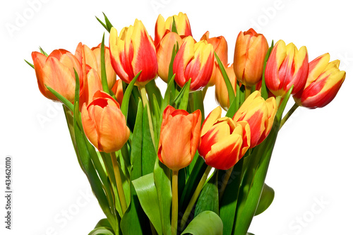 Bouquet of red and yellow tulips 