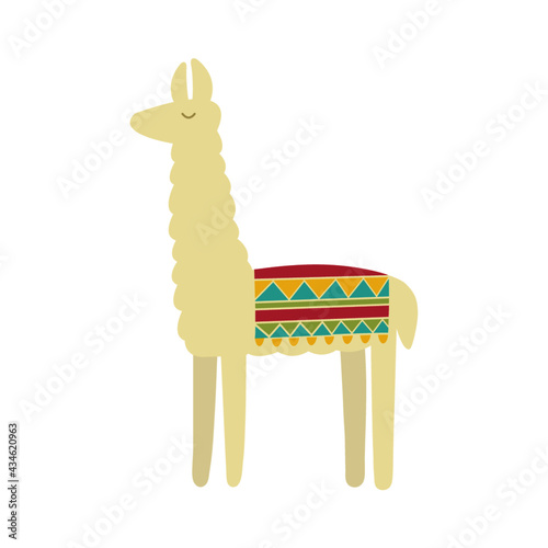 Llama Andina - Ilustración
