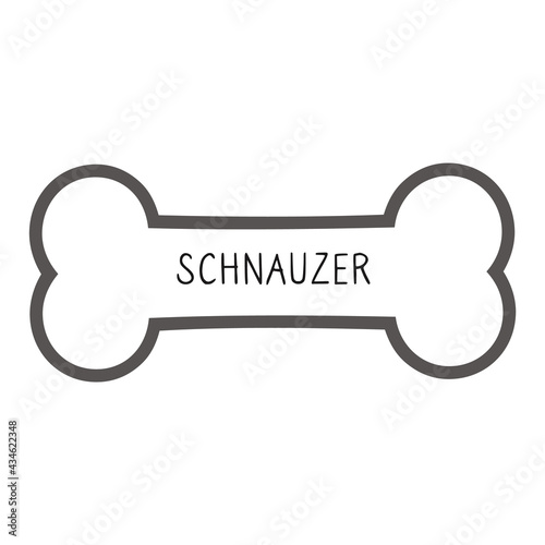 Cute cartoon Schnauzer text on collar dog tag vector clipart. Purebred doggy identification medal for pet id. Domestic dog for pet pooch. 