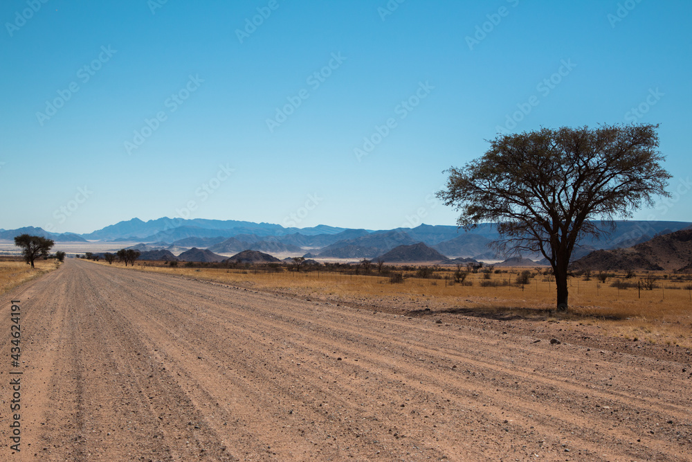 Obraz premium gravel road leading to sossusvlei in namibia