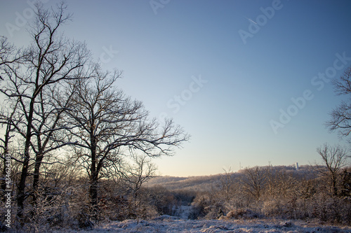 Snow, frost, ice covered trees in clearing in winter during sunrise