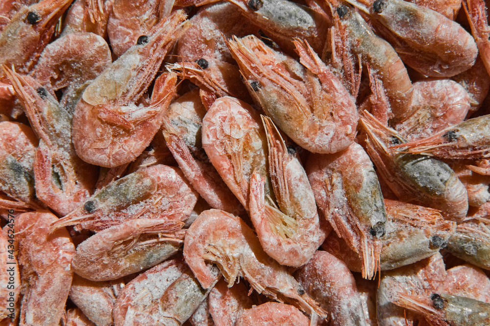 Close-up of frozen shrimps. Uncooked and unpeeled seafood background. Boiled and frozen shrimps. Close-up of frozen shrimps. Uncooked and unpeeled seafood background. Boiled and frozen shrimps.