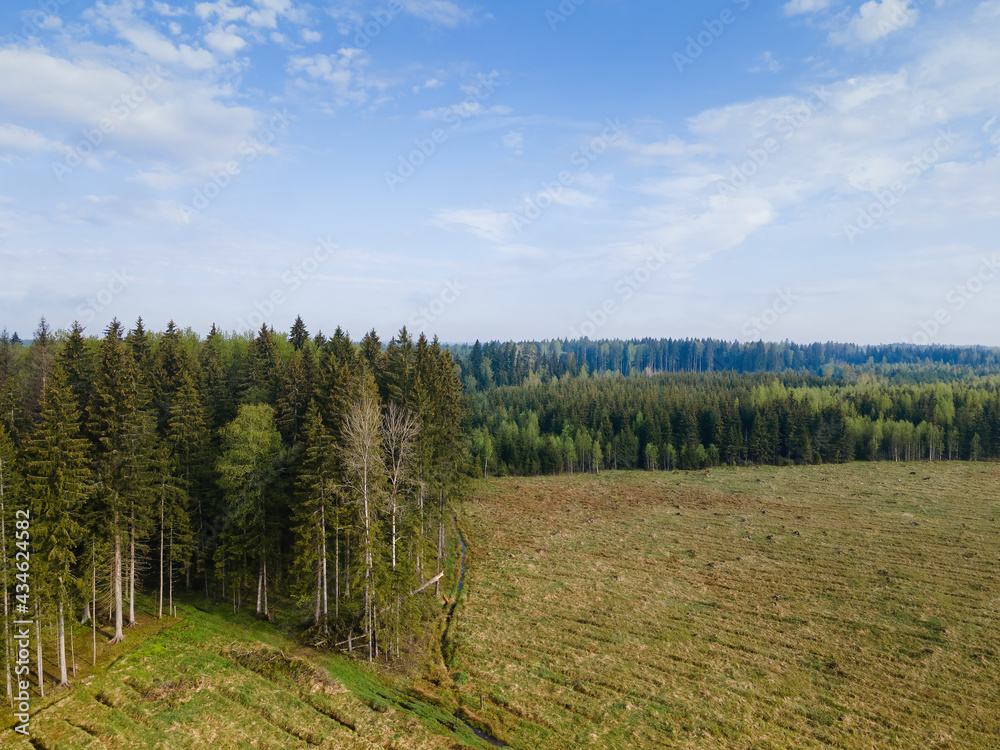 Fototapeta premium A clearing and a road in the forest from a bird's-eye view from a drone.