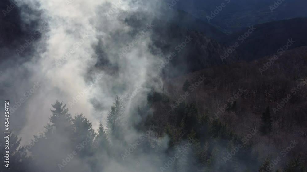 Dark smoke rising from fire in fir forest. Top drone aerial view. Burning trees due to deforestation. Horrible wildfire pine wood disaster. Air pollution, ecology, climate changes Dark smoke rising from fire in fir forest. Top drone aerial view. Burning trees due to deforestation. Horrible wildfire pine wood disaster. Air pollution, ecology, climate changes