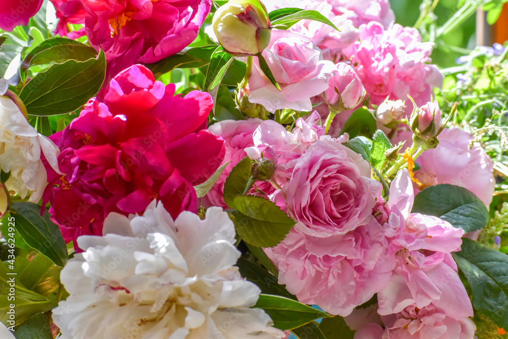 White and pink flowers on a background of emerald greenery in the garden.