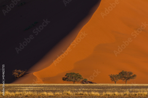 red dunes of sossusvlei during sunrise light with trees in foreground and sunny and shaded sided dune during self drive safari 2021