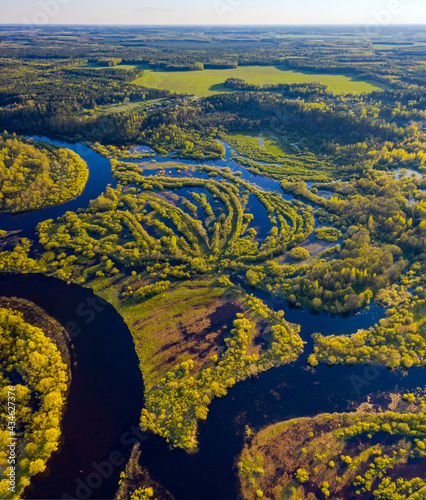 Picturesque floods on the Berezina river! Spring river and floodplain of the flooded river.