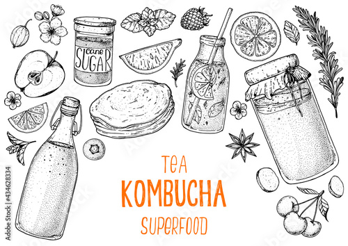 Kombucha tea and ingredients for kombucha sketch. Hand drawn vector illustration. Kombucha drink. Tea mushroom, tea fungus, or Manchurian mushroom.