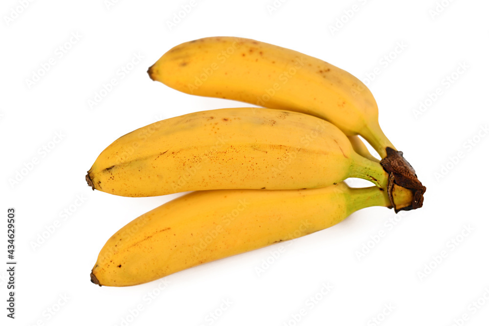 Bunch of small snack bananas isolated on white background