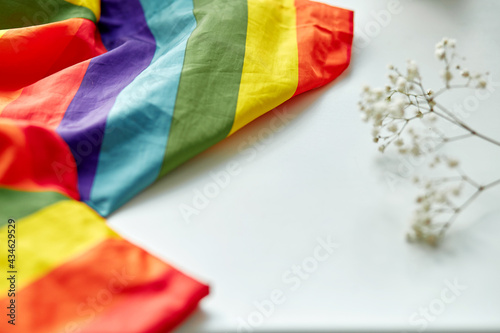 Pride Month flag. LGBTQ concept flag. Gender Equality, LGBTQIIA, Transgender, Gender-fluid concept. Gay pride concept. rainbow flag. Copy space with gypsophila. photo