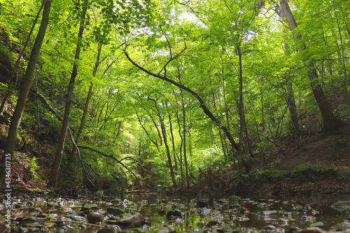 Oglesby, Illinois, USA - May 16th, 2021. Forest trail. Scenic panoramic view of the Canyon in National Park. Mountain hiking trail. photo