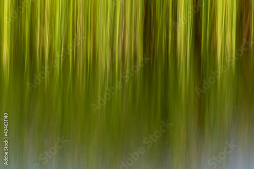 Abstract of vertical lines