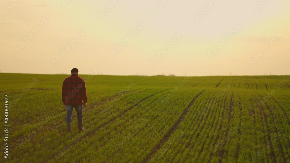 Portrait of a tractor farmer walking through a field at sunset after a slow-motion shoot Portrait of a tractor farmer walking through a field at sunset after a slow-motion shoot