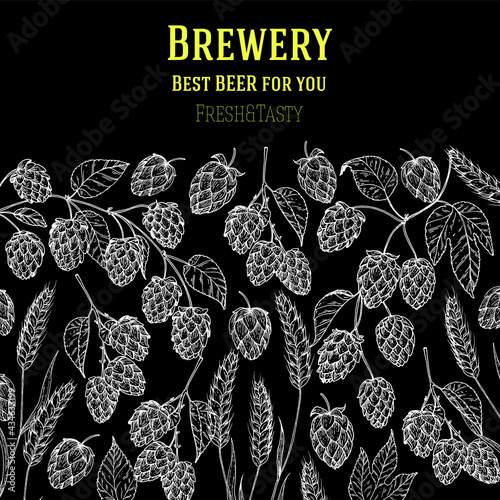 Hops and malt sketch. Beer ingredients vector illustration. Vintage design. Brewery design template. Beer hop illustration. Hand drawn sketch design.