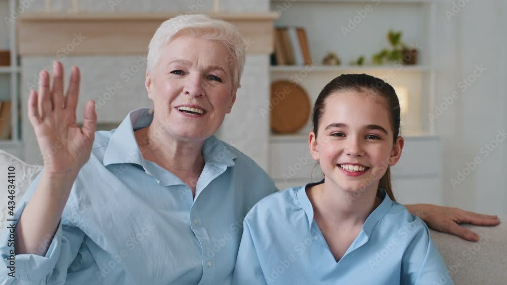 Little 8 years old cutie girl and smiling senior adult lady sitting on couch living room wave hand greeting relative person using online telecommunications application video call virtual talk concept