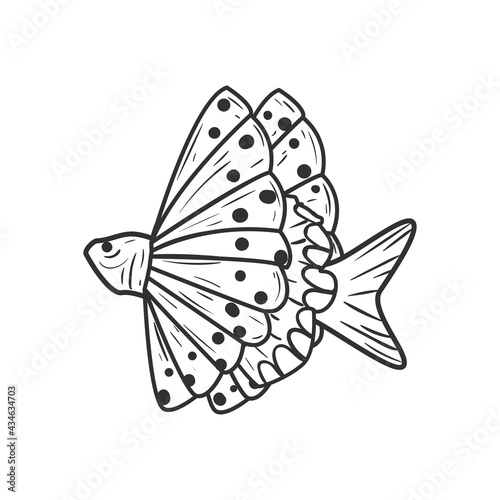 Sea fish animal