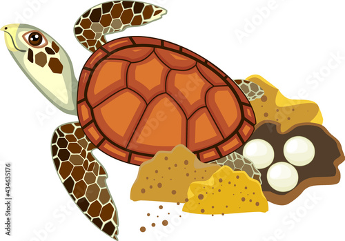 Cartoon sea turtle laying eggs in sand