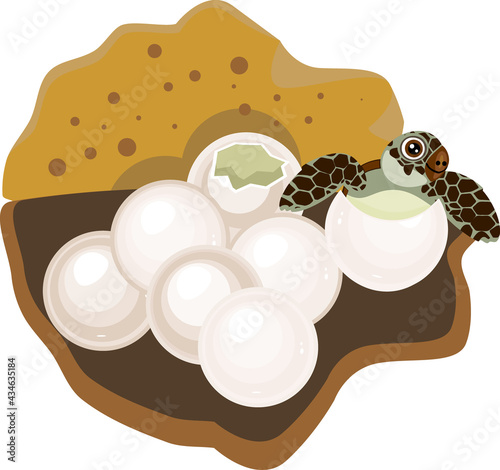 Cartoon sea turtle hatching out of egg