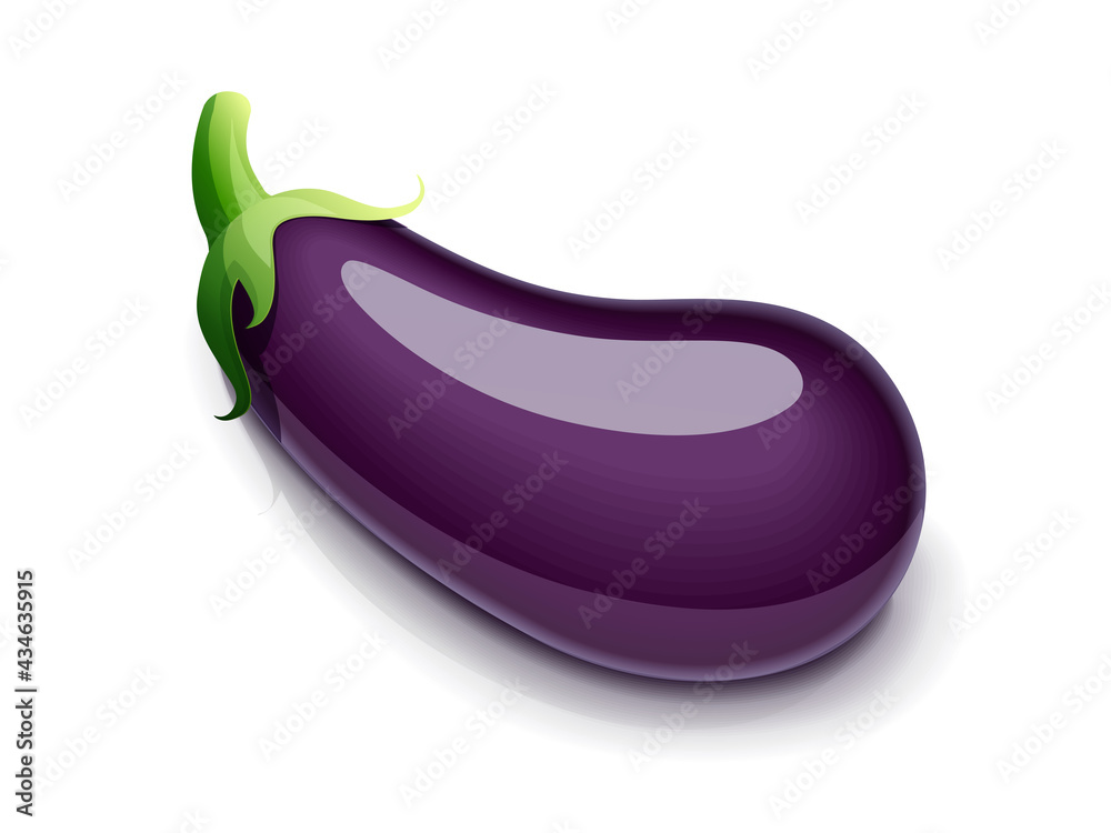 Eggplant. Vegetable food. Eps10 vector illustration. Isolated Eggplant. Vegetable food. Eps10 vector illustration. Isolated