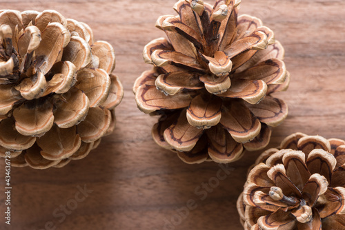 three pine cones on brown wooden texture