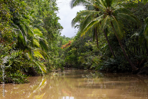 Damas Island Mangrove water canals