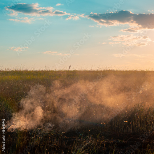 Fires in the steppe, the grass is burning in the fields.
