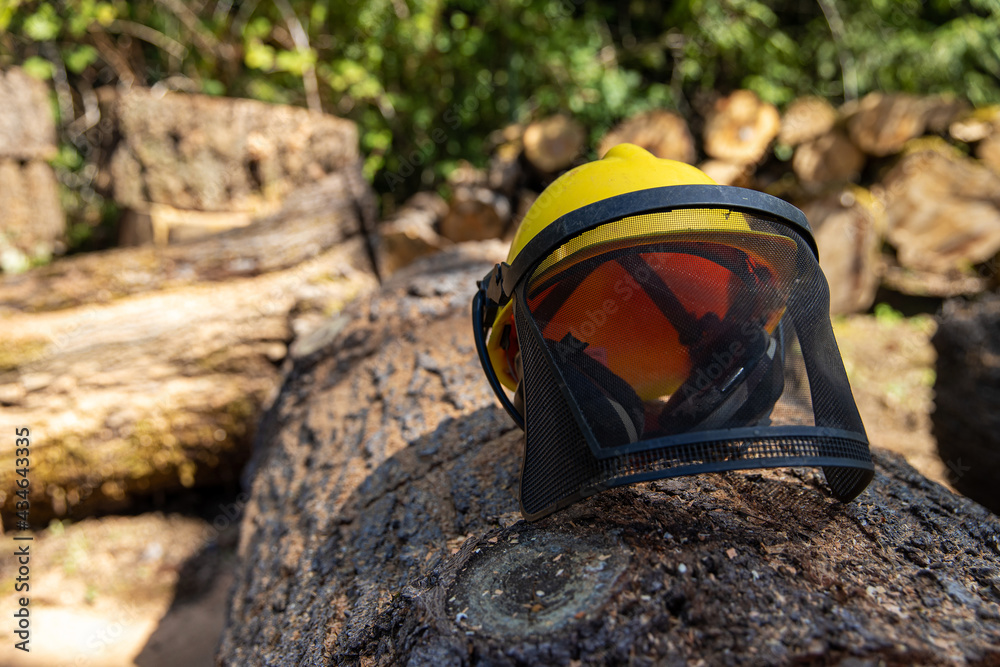 Loggers helmet sits on a cut down tree in a forest