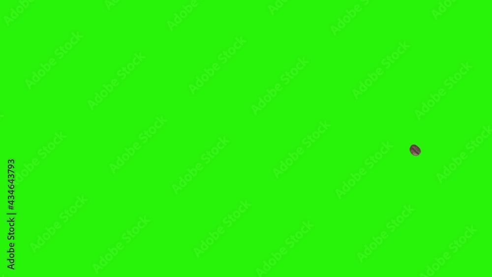 Realistic coffee beans animation graphic element on green screen chroma key Realistic coffee beans animation graphic element on green screen chroma key