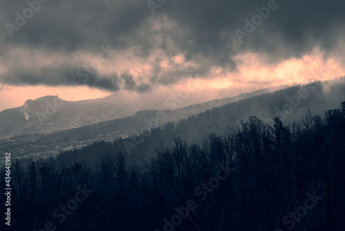 charred trees, environmental disaster burnt mountain landscape