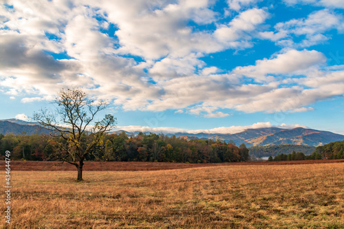 vibrant autumn landscape taken in Cades Cove valley in the Great Smoky Mountain national Park in Tennessee.