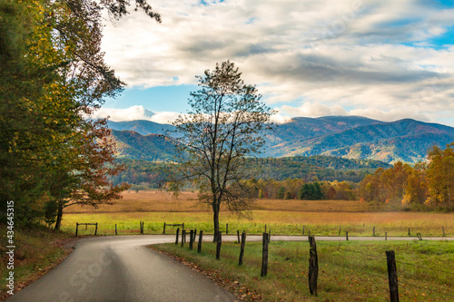 Fototapeta Naklejka Na Ścianę i Meble -  vibrant autumn landscape taken in Cades Cove valley  in the Great Smoky Mountain national Park in Tennessee.