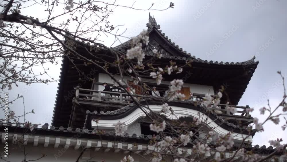 Stunning scenery at Japanese castle with cherry blossoms and people on lookout Stunning scenery at Japanese castle with cherry blossoms and people on lookout