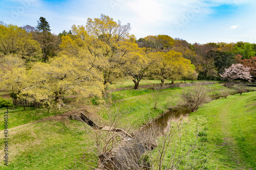 都立野川公園