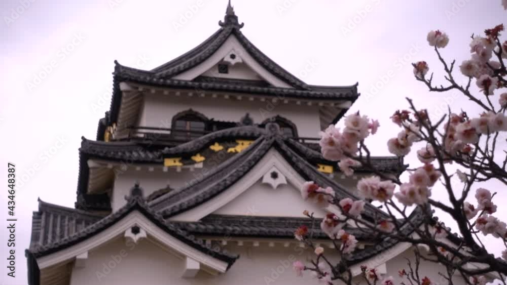 Focus shift between Sakura Cherry Blossoms and Japanese Castle Focus shift between Sakura Cherry Blossoms and Japanese Castle