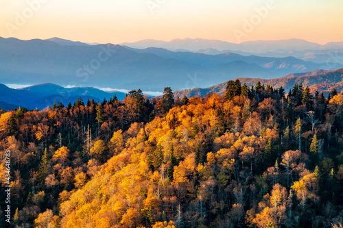 vibrant early morning autumn in the Great Smoky Mountains national park in Tennessee  overlooking the Appalachian and Blue Ridge mountain range.  