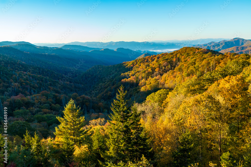 vibrant early morning autumn in the Great Smoky Mountains national park in Tennessee  overlooking the Appalachian and Blue Ridge mountain range.  