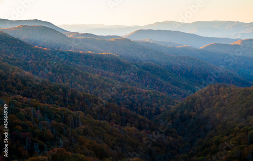 vibrant early morning autumn in the Great Smoky Mountains national park in Tennessee overlooking the Appalachian and Blue Ridge mountain range. 