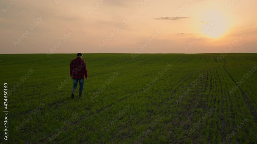 Elderly male tractor farmer at sunset walks across the field in slow motion after day's work Elderly male tractor farmer at sunset walks across the field in slow motion after day's work
