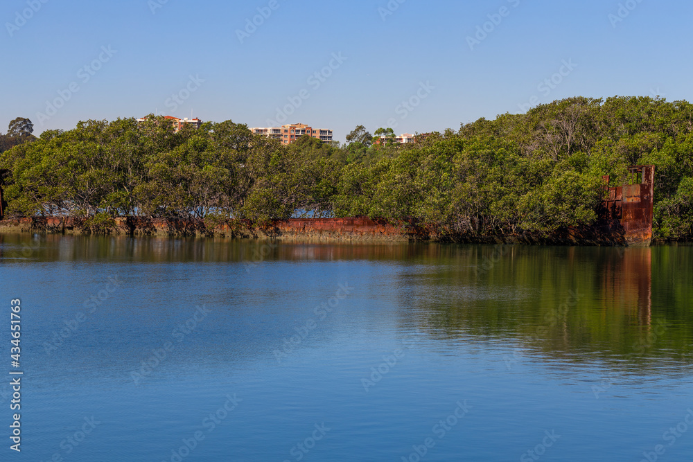 Rusted shipwreck in a mangrove area on Wentworth point Parramatta River NSW Australia 