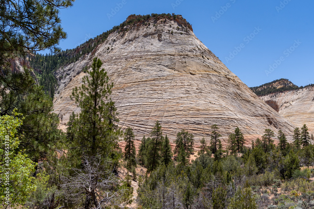 Checkerboard Mesa in Zion National Park on a sunny day