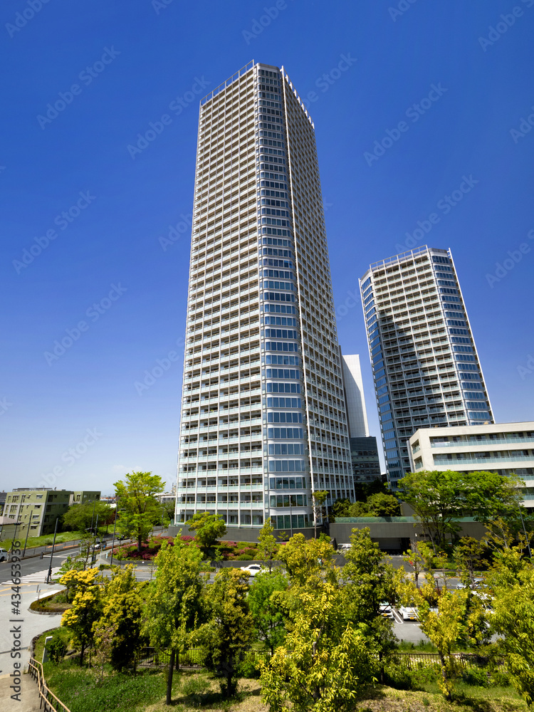 Obraz premium 二子玉川ライズのタワーマンションと二子玉川公園 東京都世田谷区