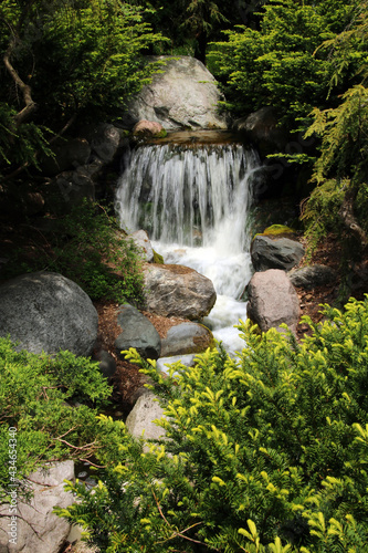 Fototapeta Naklejka Na Ścianę i Meble -  Waterfall in a garden