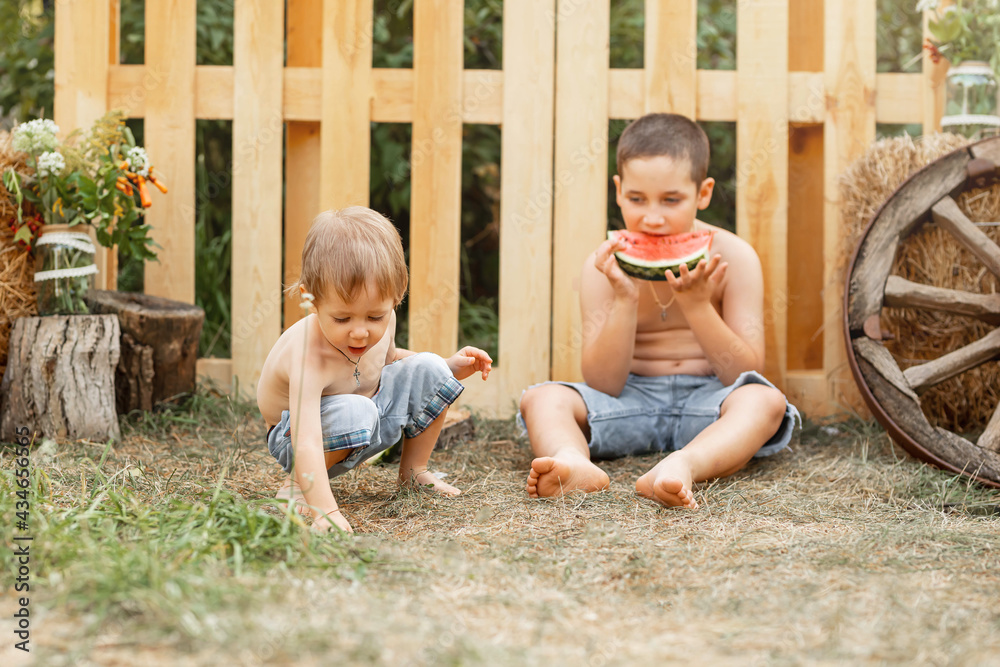 Fototapeta premium Beautiful family on the backyard lawn. Childs expression. Two happy little boys playing in the backyard. Active healthy young children. Preschoolers children having fun in the garden in summer