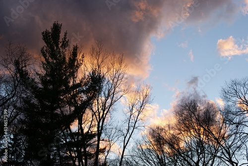 nature 